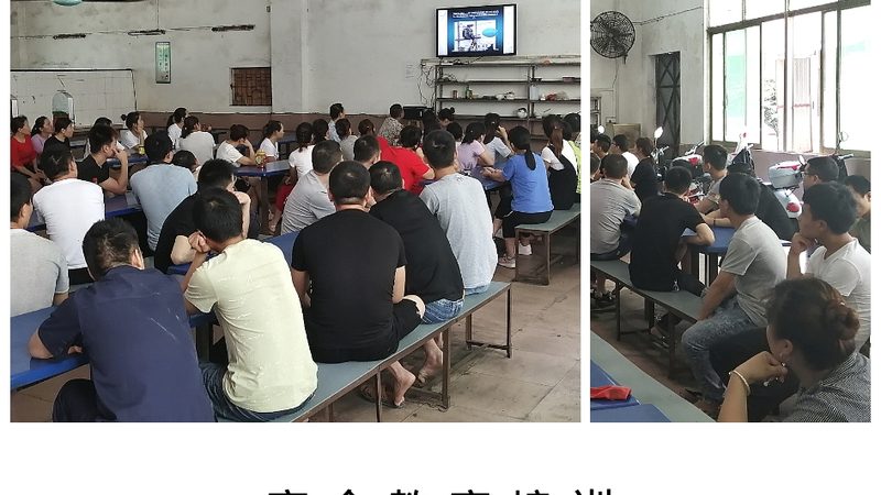 相较于传统的集体授课，一对一辅导具有以下优势：